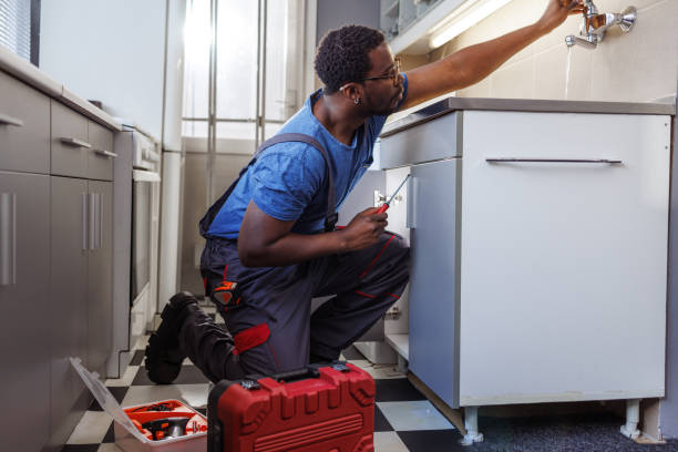  Ckam Housing, HI Plumbing Pros